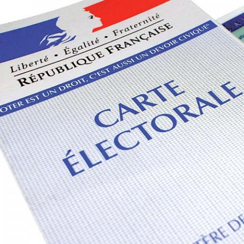 Team member card image