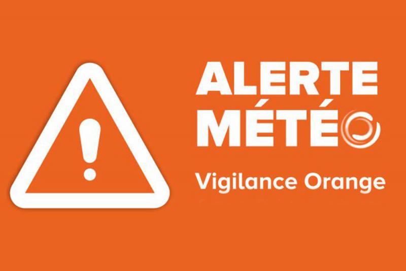 Vigilance orange